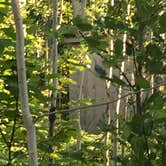 Review photo of Hatchet Lake Campground — Isle Royale National Park by Matt S., August 31, 2018