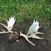 Review photo of Hatchet Lake Campground — Isle Royale National Park by Matt S., August 31, 2018