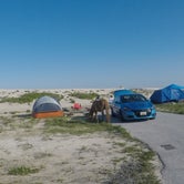 Review photo of Assateague State Park Campground by Gabrielle C., August 31, 2018