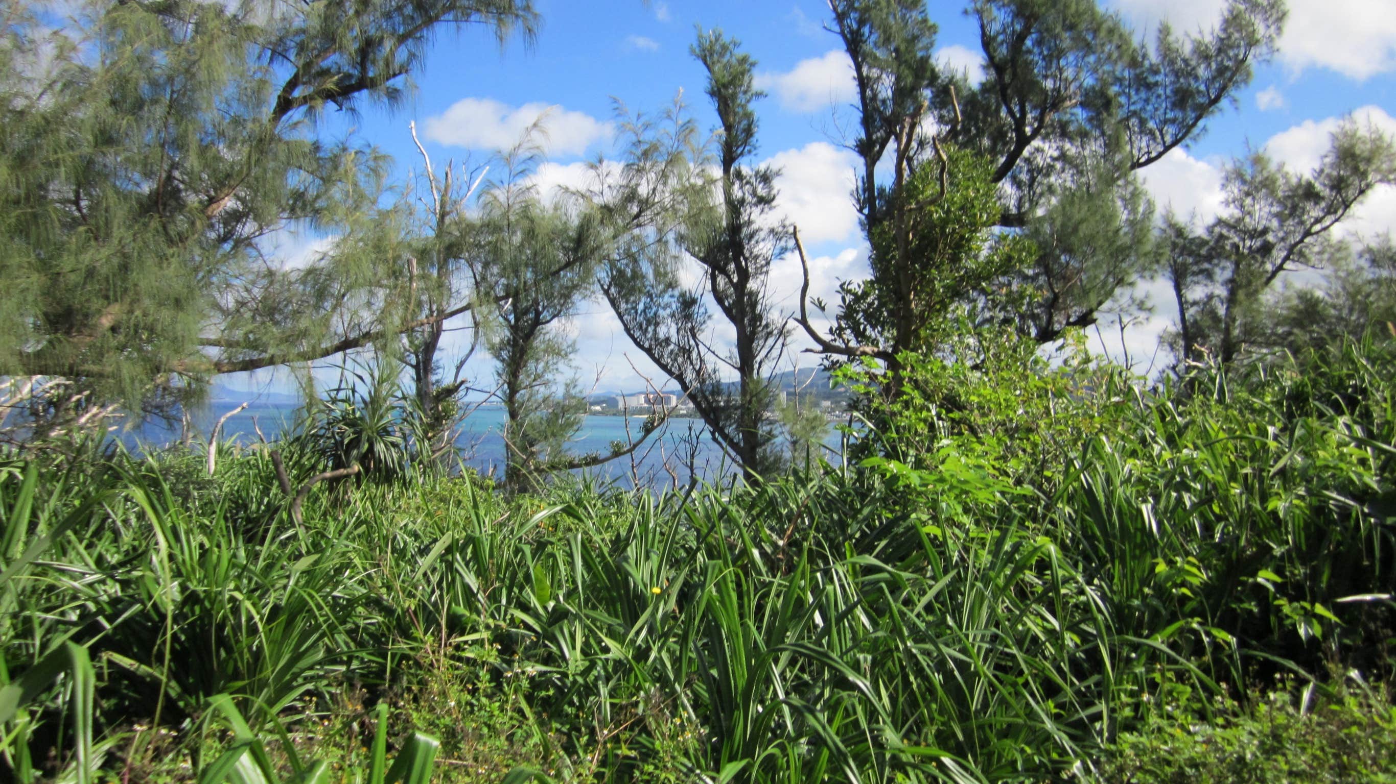 Camper-submitted photo at Salt Pond Beach Park near Kapa‘a, HI