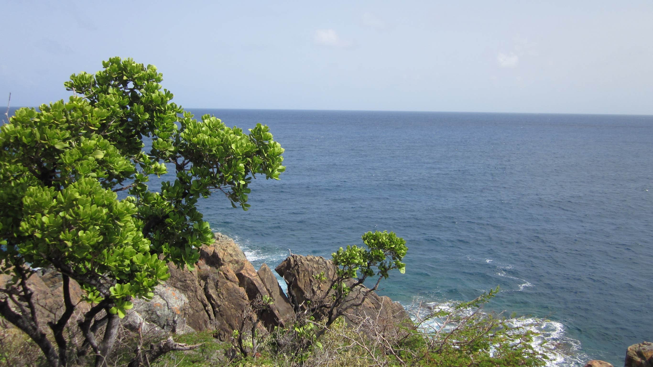 Camper-submitted photo at Anahola Beach Park near Kapa‘a, HI