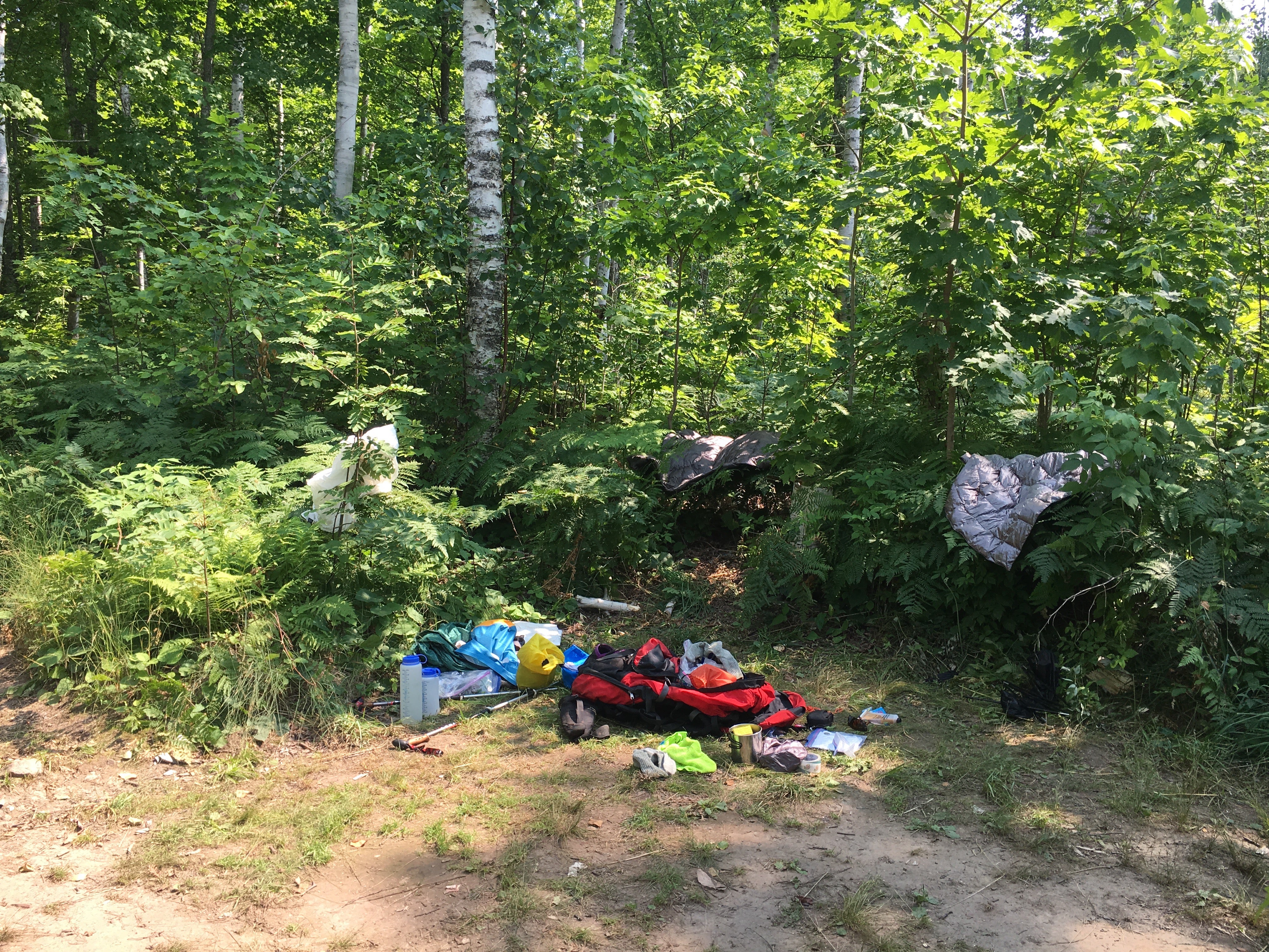 Camper submitted image from South Lake Desor Campground — Isle Royale National Park - 3