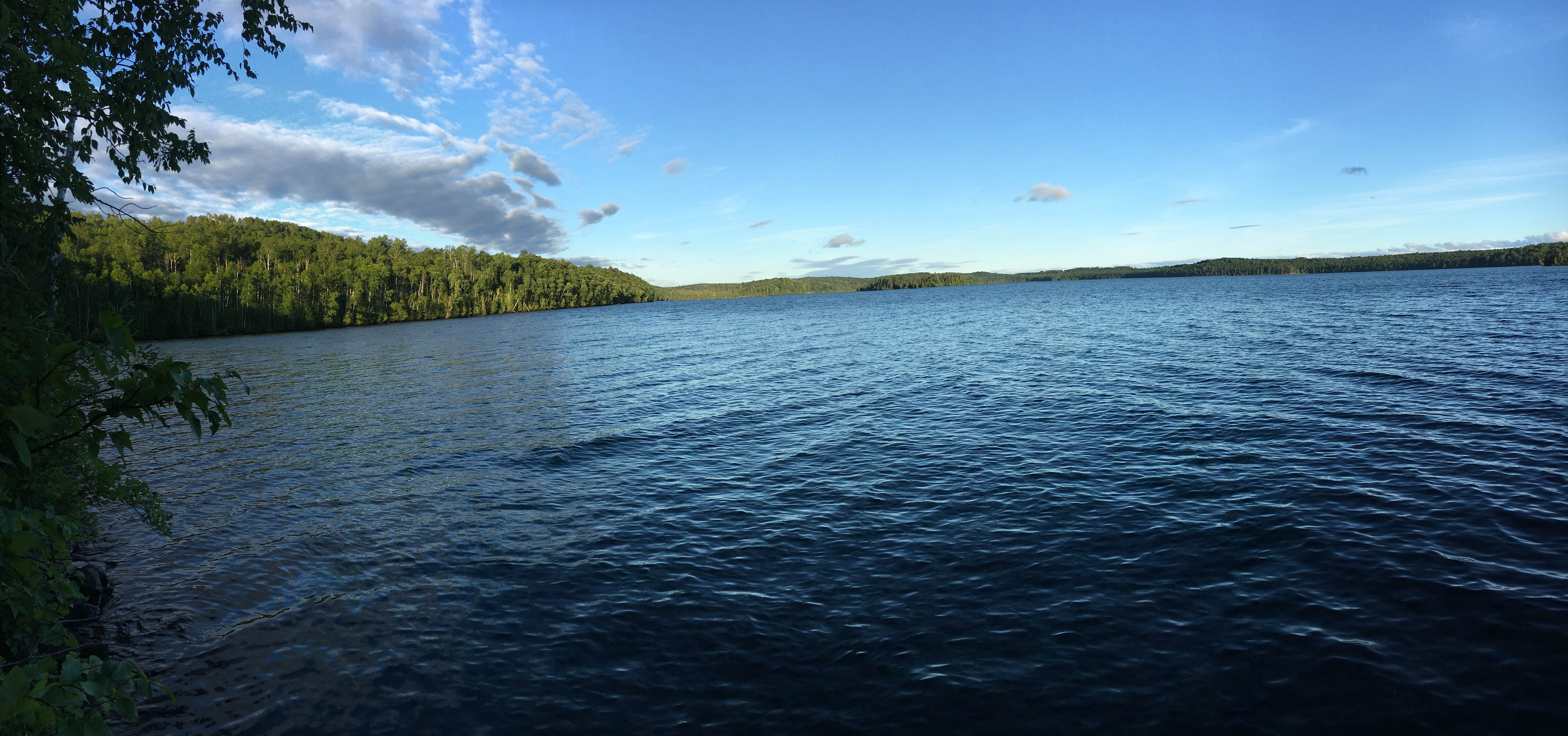 Water