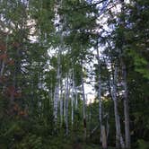 Review photo of South Lake Desor Campground — Isle Royale National Park by Matt S., August 31, 2018