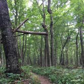 Review photo of South Lake Desor Campground — Isle Royale National Park by Matt S., August 31, 2018