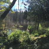 Review photo of South Lake Desor Campground — Isle Royale National Park by Matt S., August 31, 2018