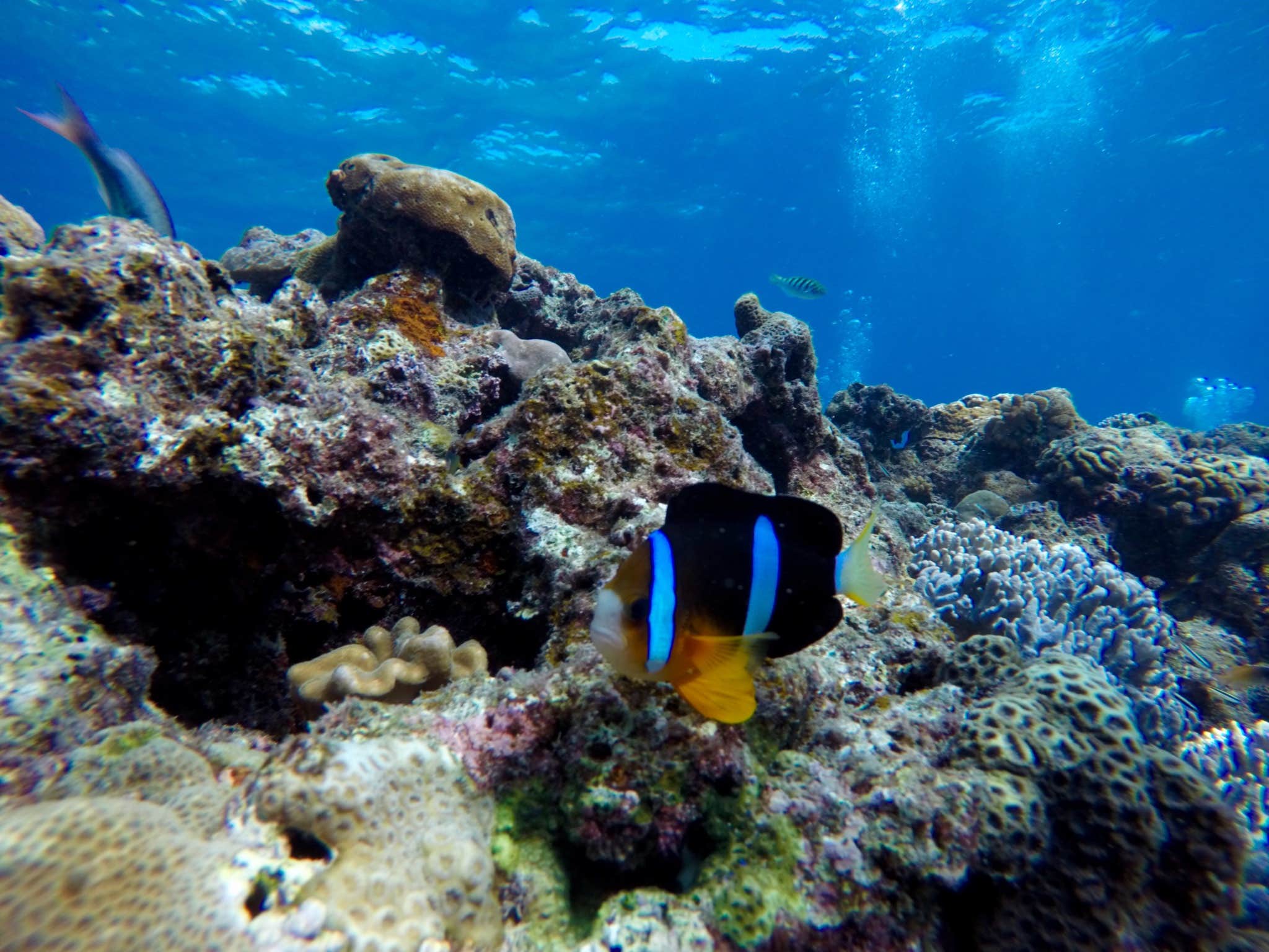 Camper-submitted photo at Hanamaulu Beach Park near Kapa‘a, HI