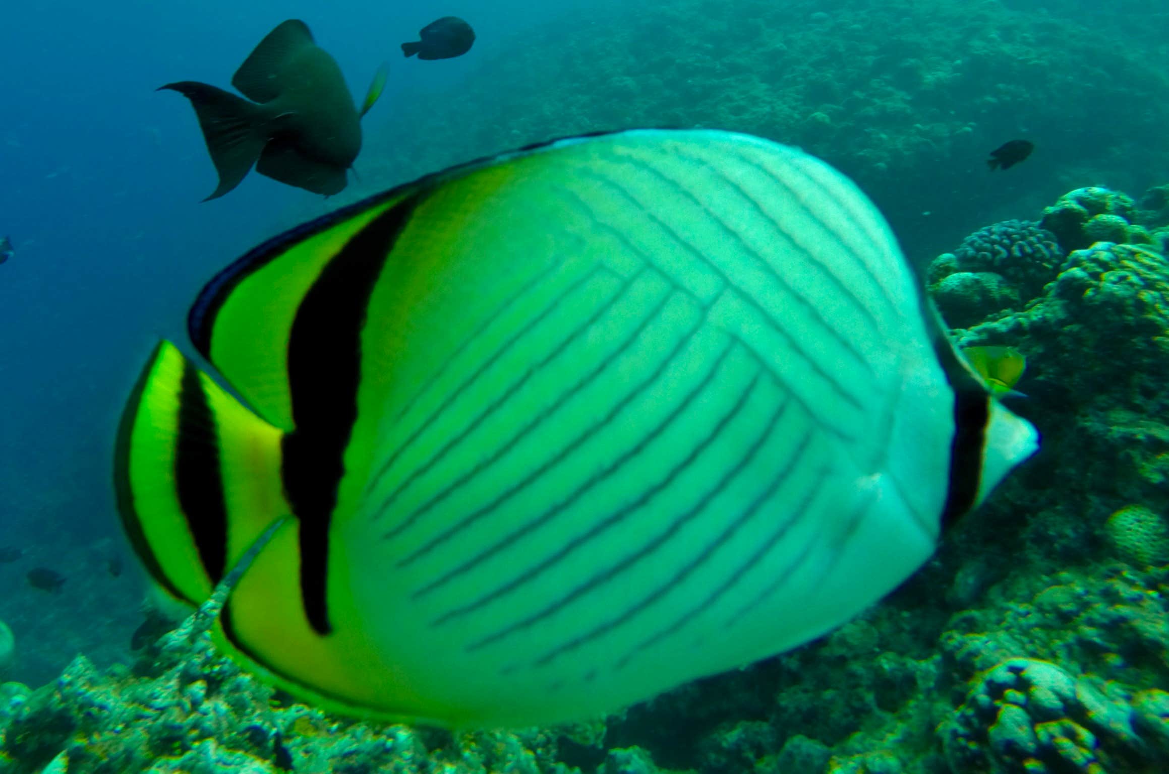 Camper-submitted photo at Hanamaulu Beach Park near Kapa‘a, HI