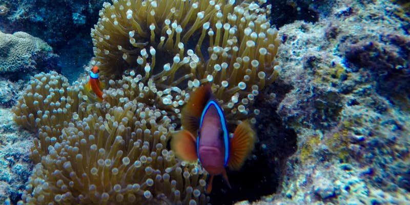 Camper submitted image from Hanamaulu Beach Park