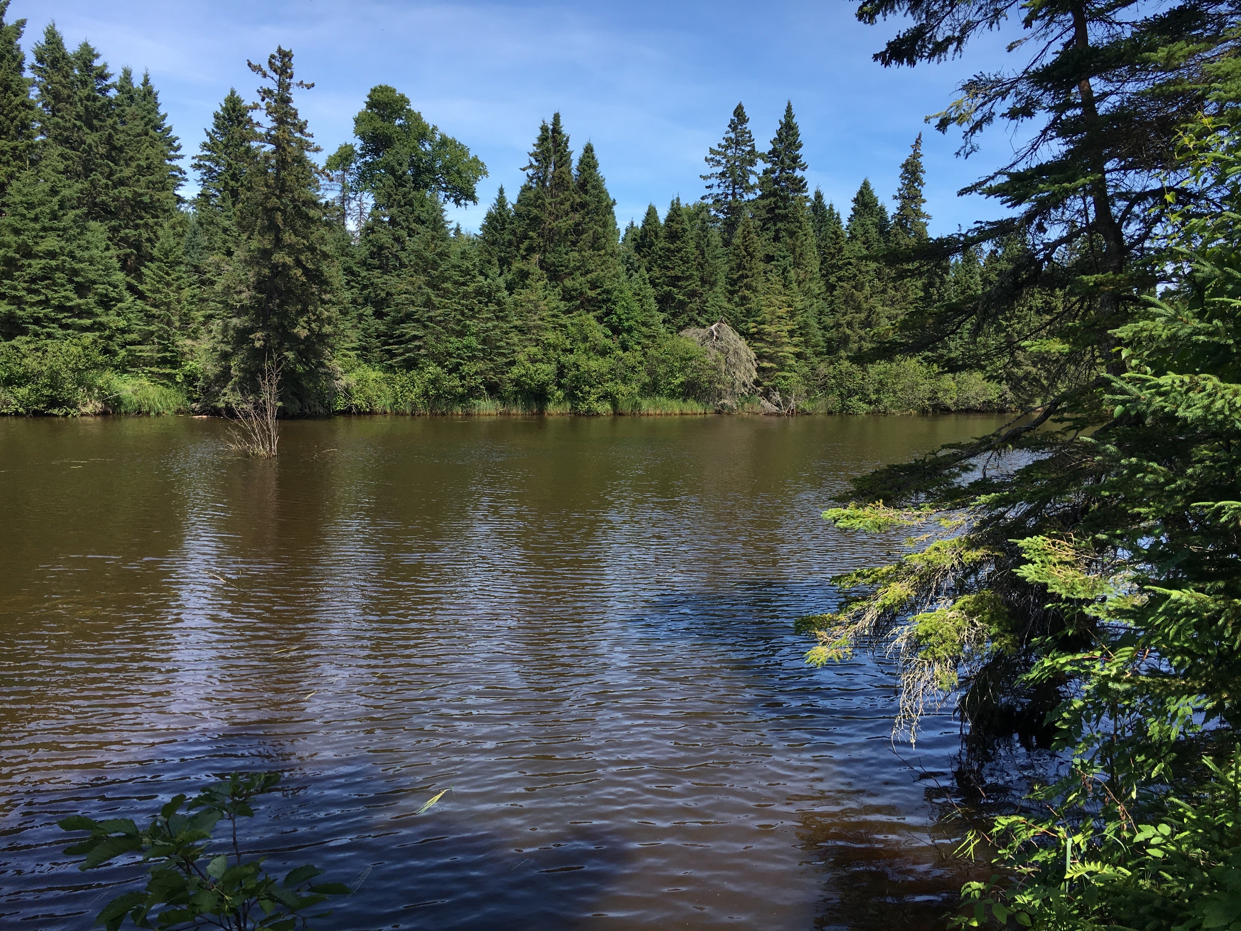 Camper submitted image from Washington Creek Campground — Isle Royale National Park - 2