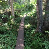 Review photo of Washington Creek Campground — Isle Royale National Park by Matt S., August 31, 2018