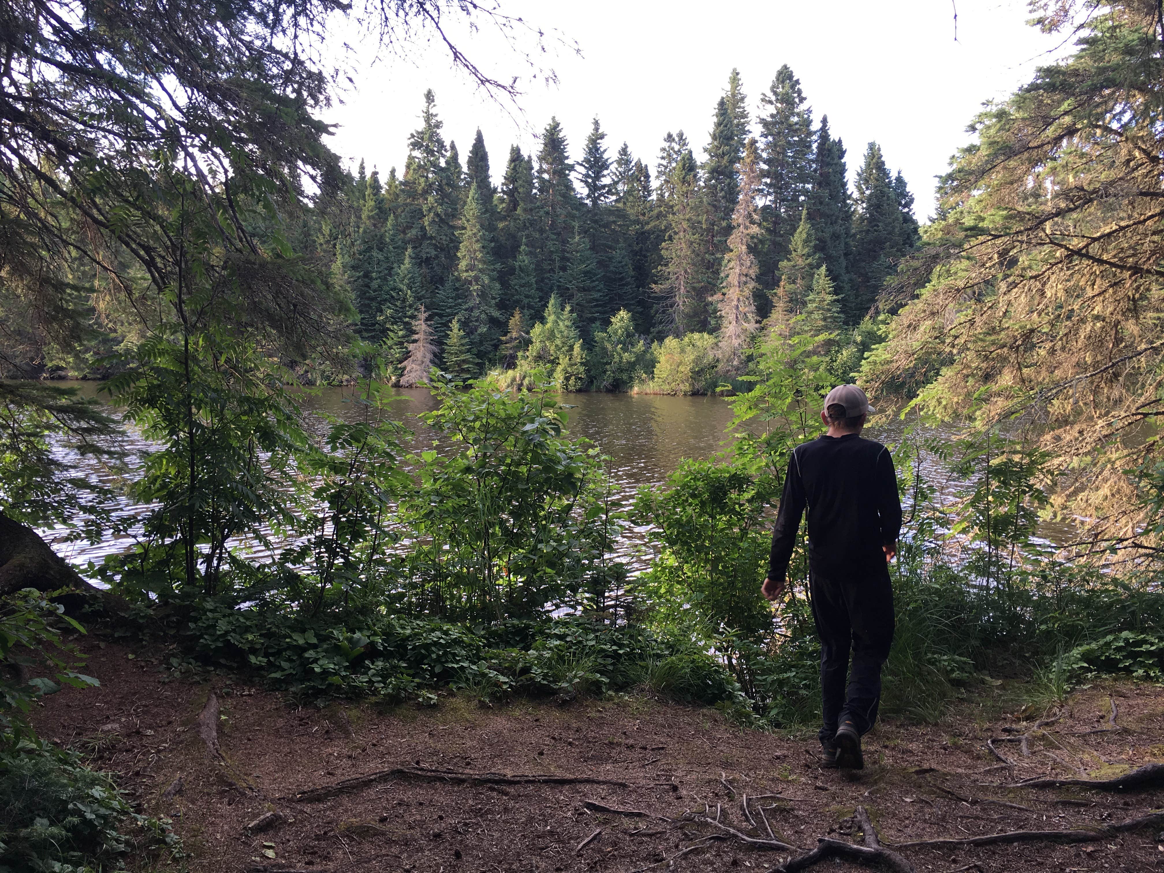 Camper submitted image from Washington Creek Campground — Isle Royale National Park - 3