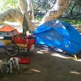 Review photo of Canyon Campground — Leo Carrillo State Park Campground by Tim J., August 31, 2018