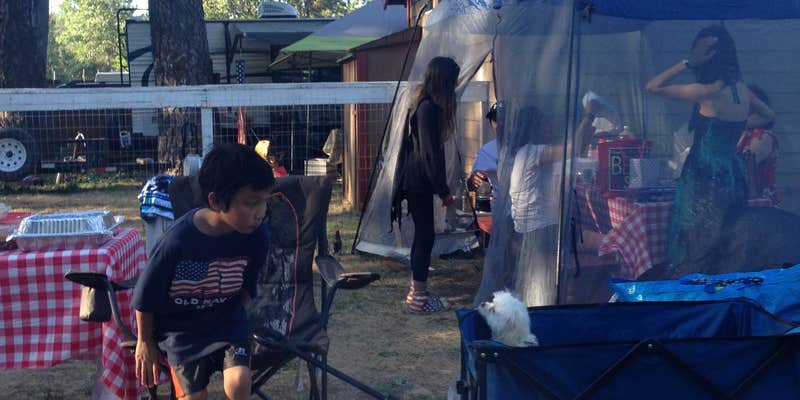 Camper submitted image from Lakeshore Villa RV Park