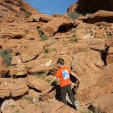 Review photo of Atlatl Rock Campground — Valley of Fire State Park by Kaitlyn T., August 3, 2016