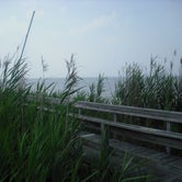 Review photo of Watch Hill Family Campground — Fire Island National Seashore by Jill F., August 31, 2018