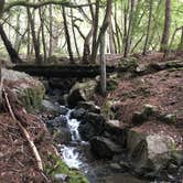 Review photo of Pantoll Campground — Mount Tamalpais State Park by Jill F., August 31, 2018