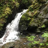 Review photo of Pantoll Campground — Mount Tamalpais State Park by Jill F., August 31, 2018