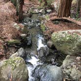 Review photo of Pantoll Campground — Mount Tamalpais State Park by Jill F., August 31, 2018