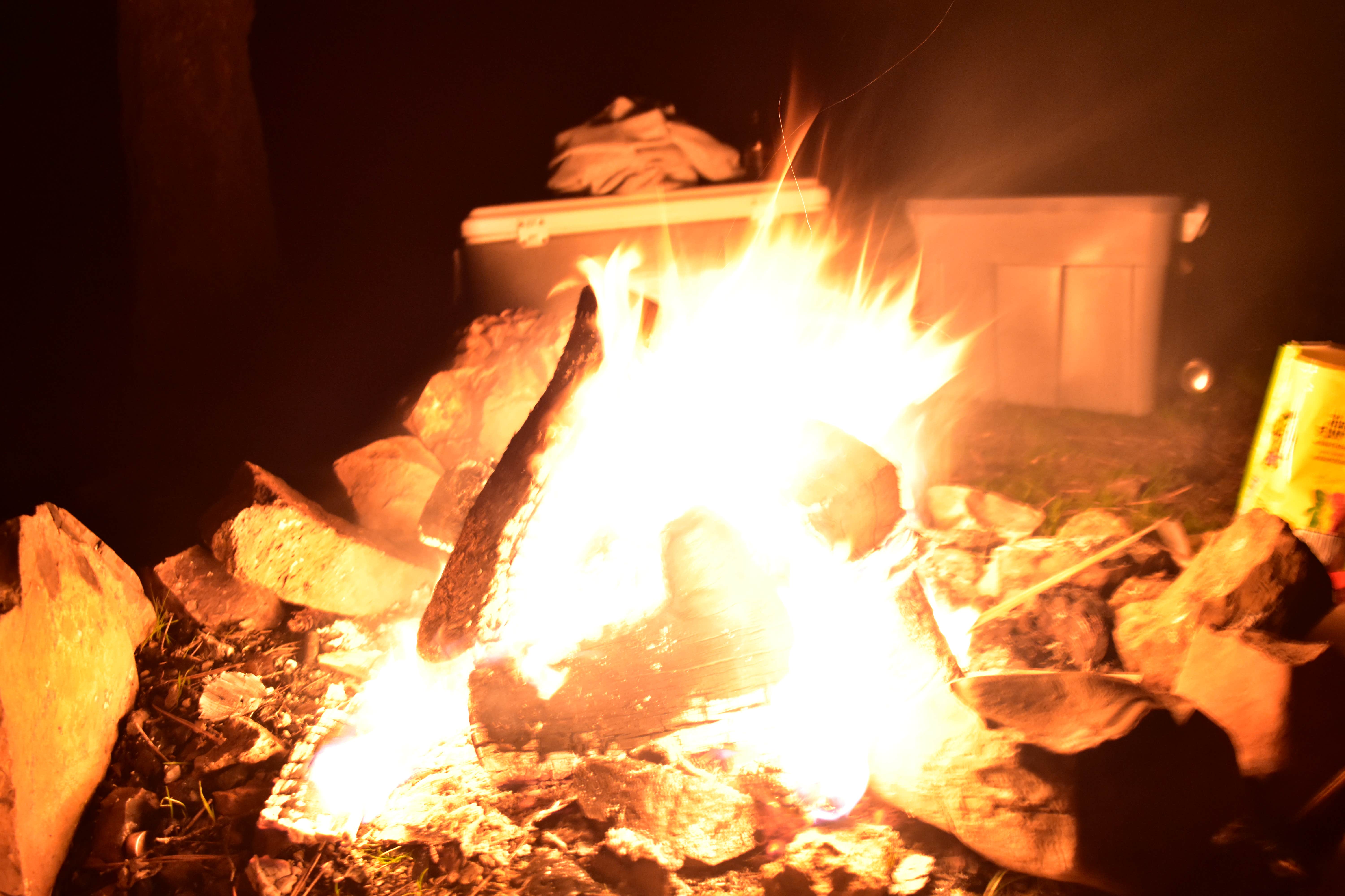 Ashley W.'s photo at Little Pee Dee State Park Campground near Laurinburg, NC