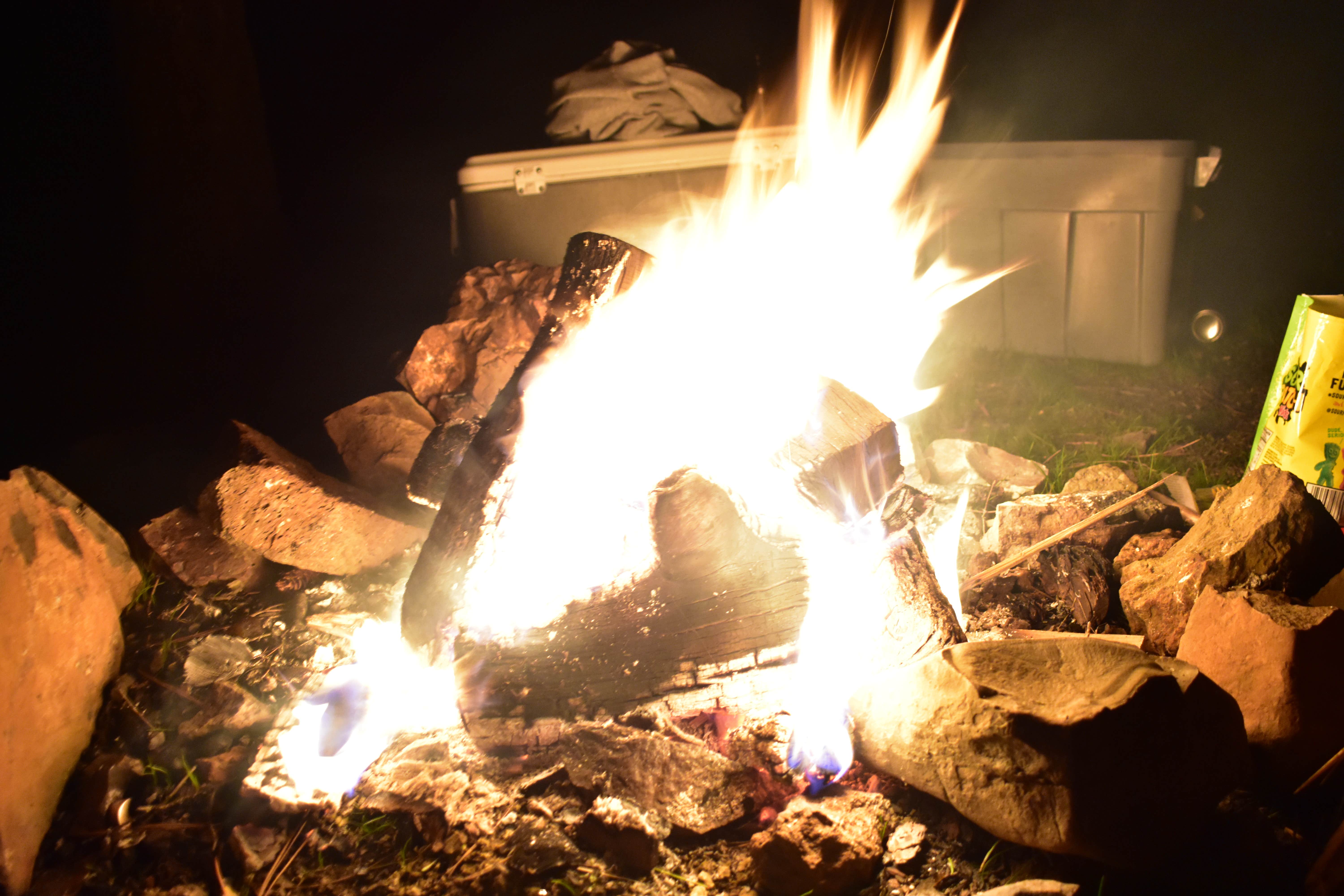Camper-submitted photo at Little Pee Dee State Park Campground near Coward, SC