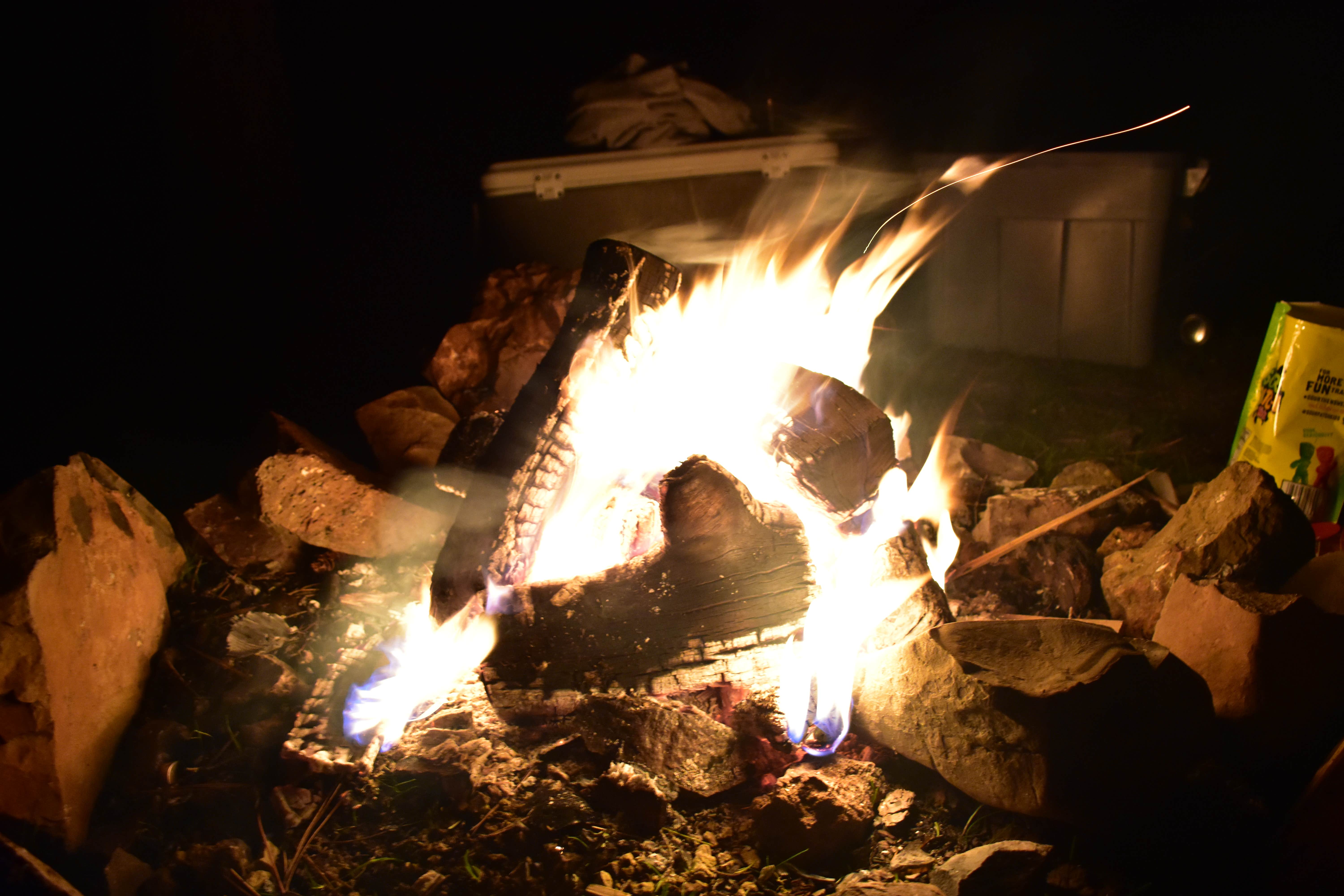 Ashley W.'s photo at Little Pee Dee State Park Campground near Lumberton, NC