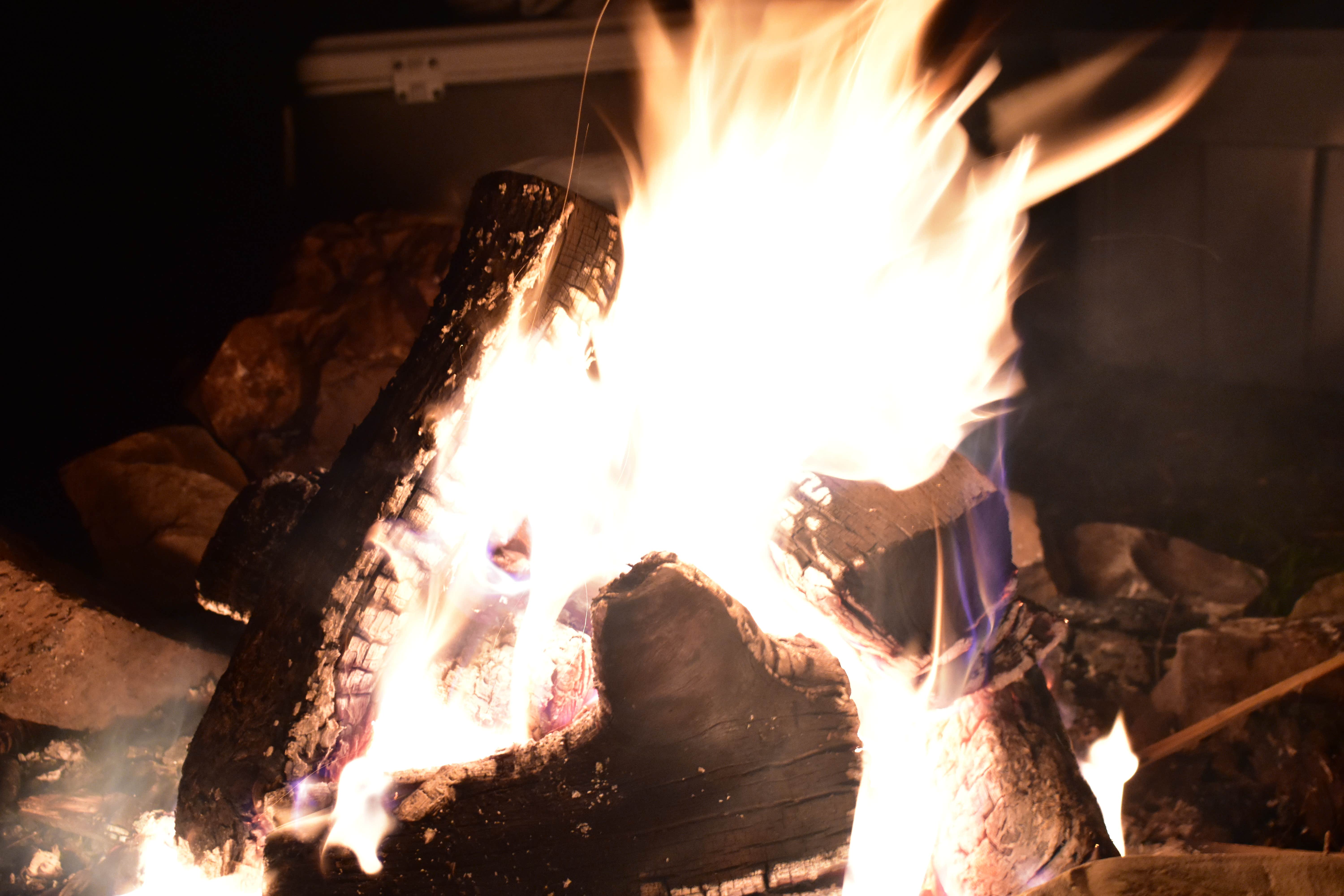 Ashley W.'s photo at Little Pee Dee State Park Campground near Coward, SC