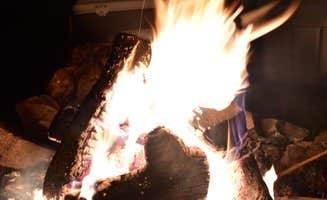 Ashley W.'s photo at Little Pee Dee State Park Campground near Coward, SC