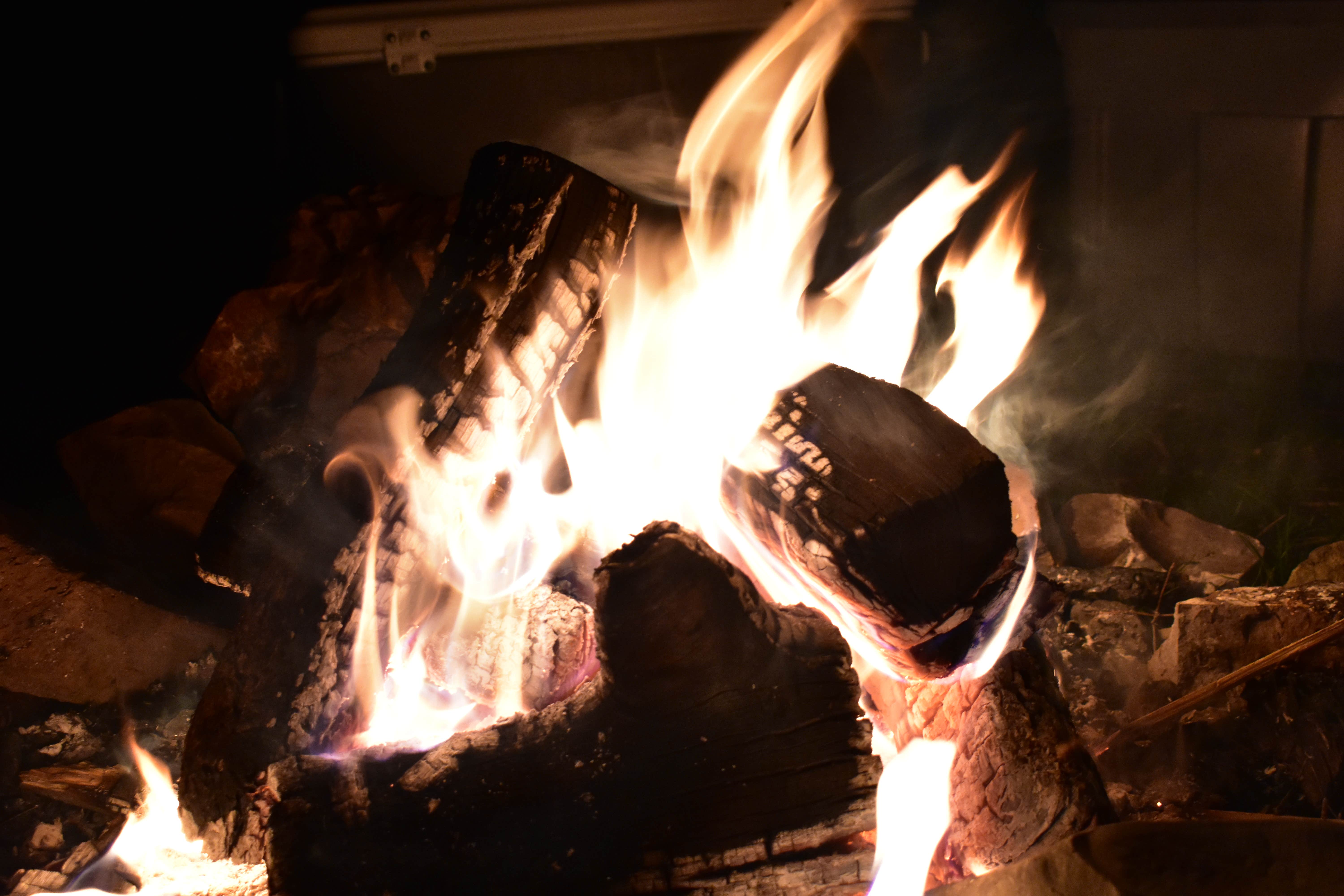 Camper-submitted photo at Little Pee Dee State Park Campground near Coward, SC