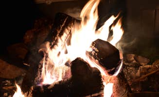 Ashley W.'s photo at Little Pee Dee State Park Campground near Pembroke, NC