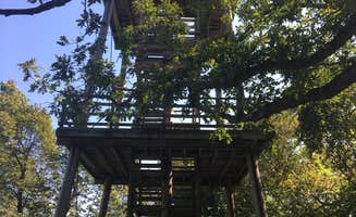 Cristina S.'s photo of a cabin at Blue Mound State Park Campground near Apple River, IL