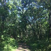 Review photo of Blue Mound State Park Campground by Cristina S., August 31, 2018