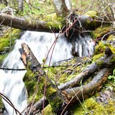 Review photo of Manti-LaSal National Forest Buckboard Campground by Analia F., August 31, 2018