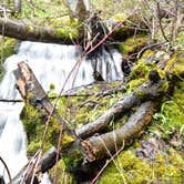 Review photo of Manti-LaSal National Forest Buckboard Campground by Analia F., August 31, 2018