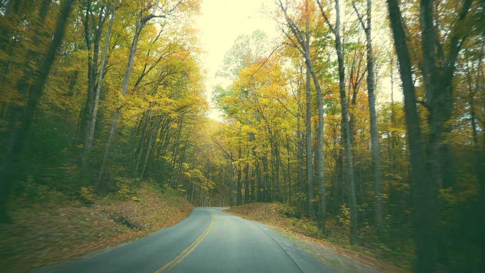 Camper submitted image from Cades Cove Campground - 3