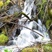 Review photo of Manti-LaSal National Forest Buckboard Campground by Analia F., August 31, 2018