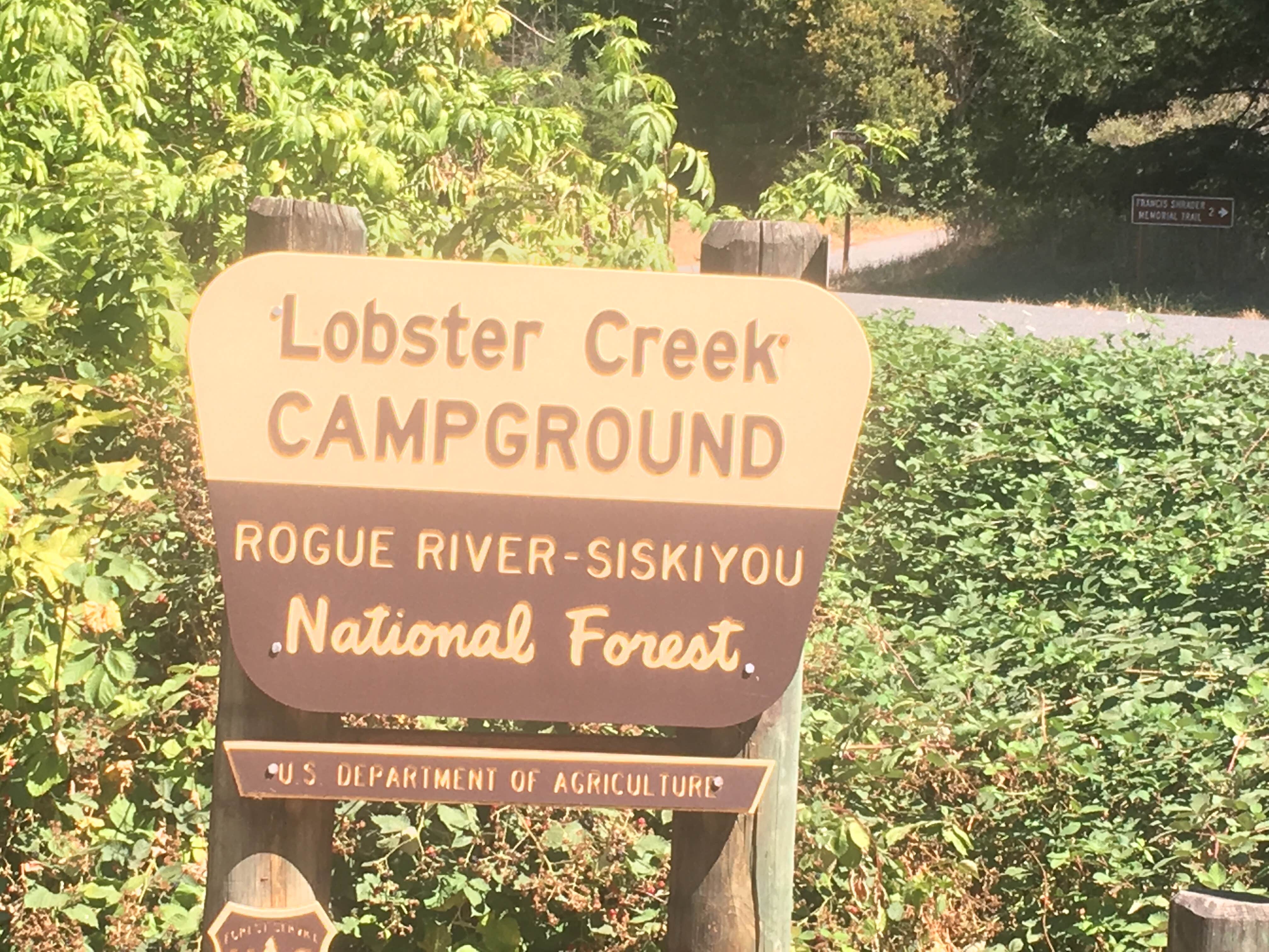 Camper submitted image from Lobster Creek Campground - 2