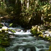 Review photo of Uinta National Forest Whiting Campground by Analia F., August 31, 2018