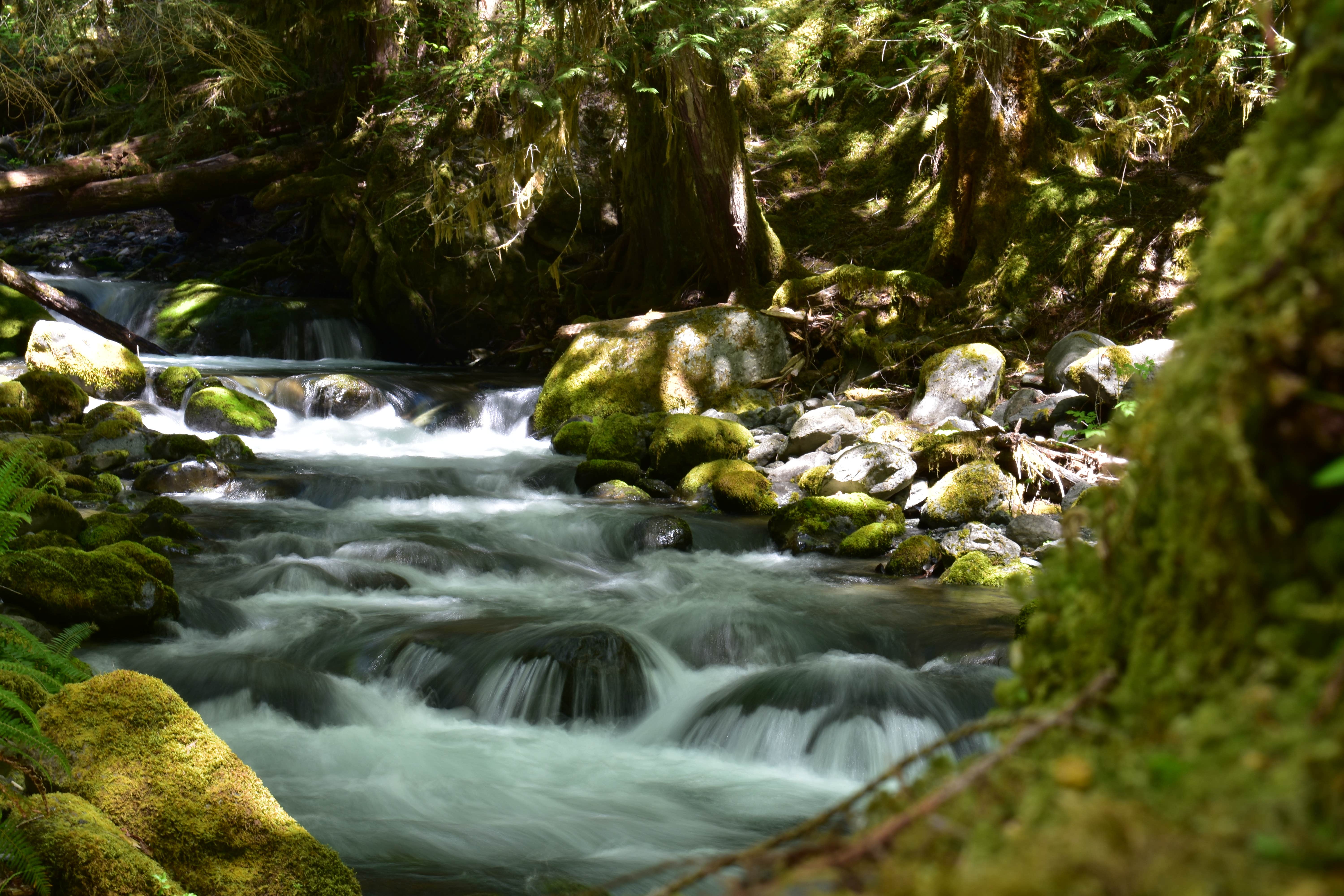 Camper-submitted photo at Uinta National Forest Whiting Campground near Mapleton, UT