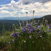 Review photo of Gore Creek Campground by Amanda M., August 31, 2018