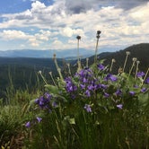 Review photo of Gore Creek Campground by Amanda M., August 31, 2018