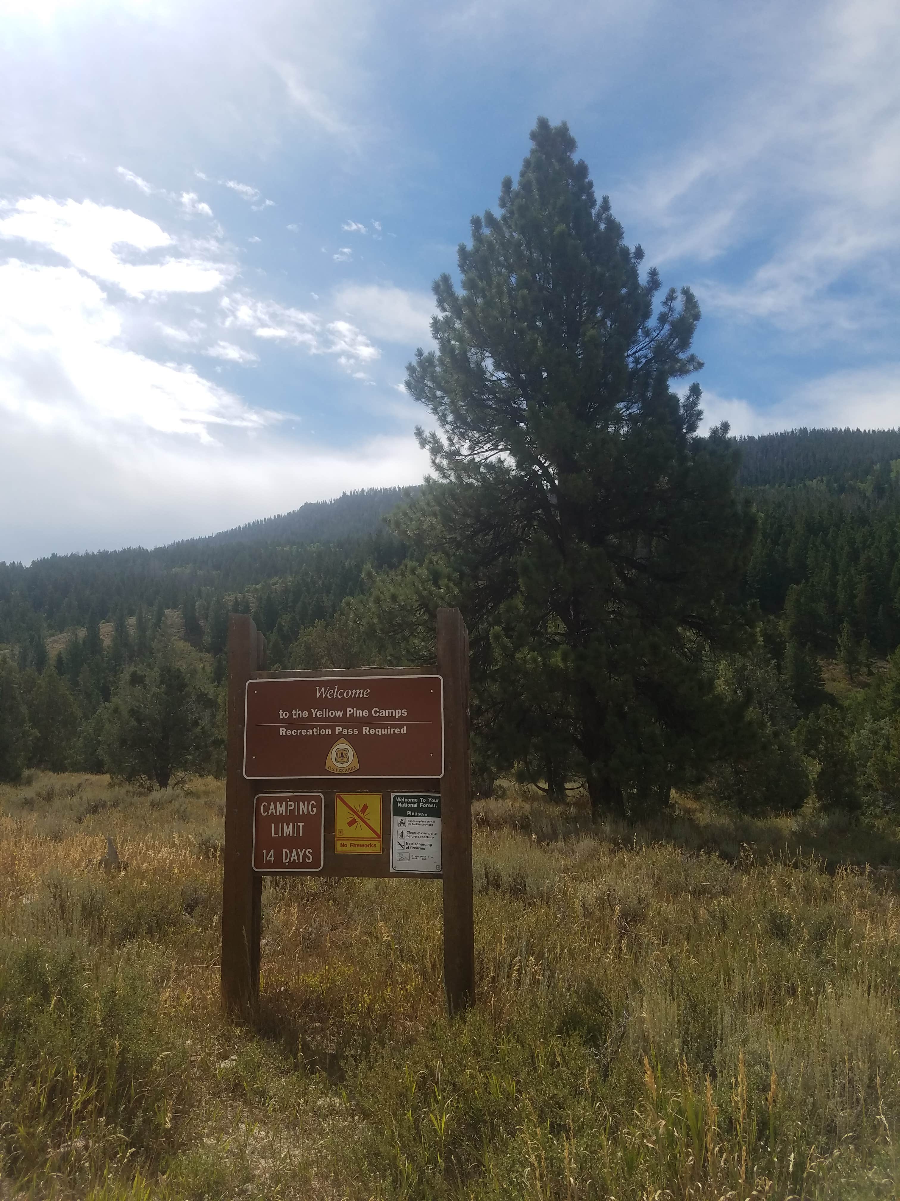 Camper submitted image from Yellow Pine Camps - 2