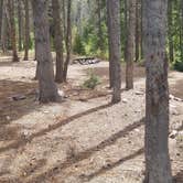 Review photo of Taylors Fork ATV Campground by Alan B., August 31, 2018