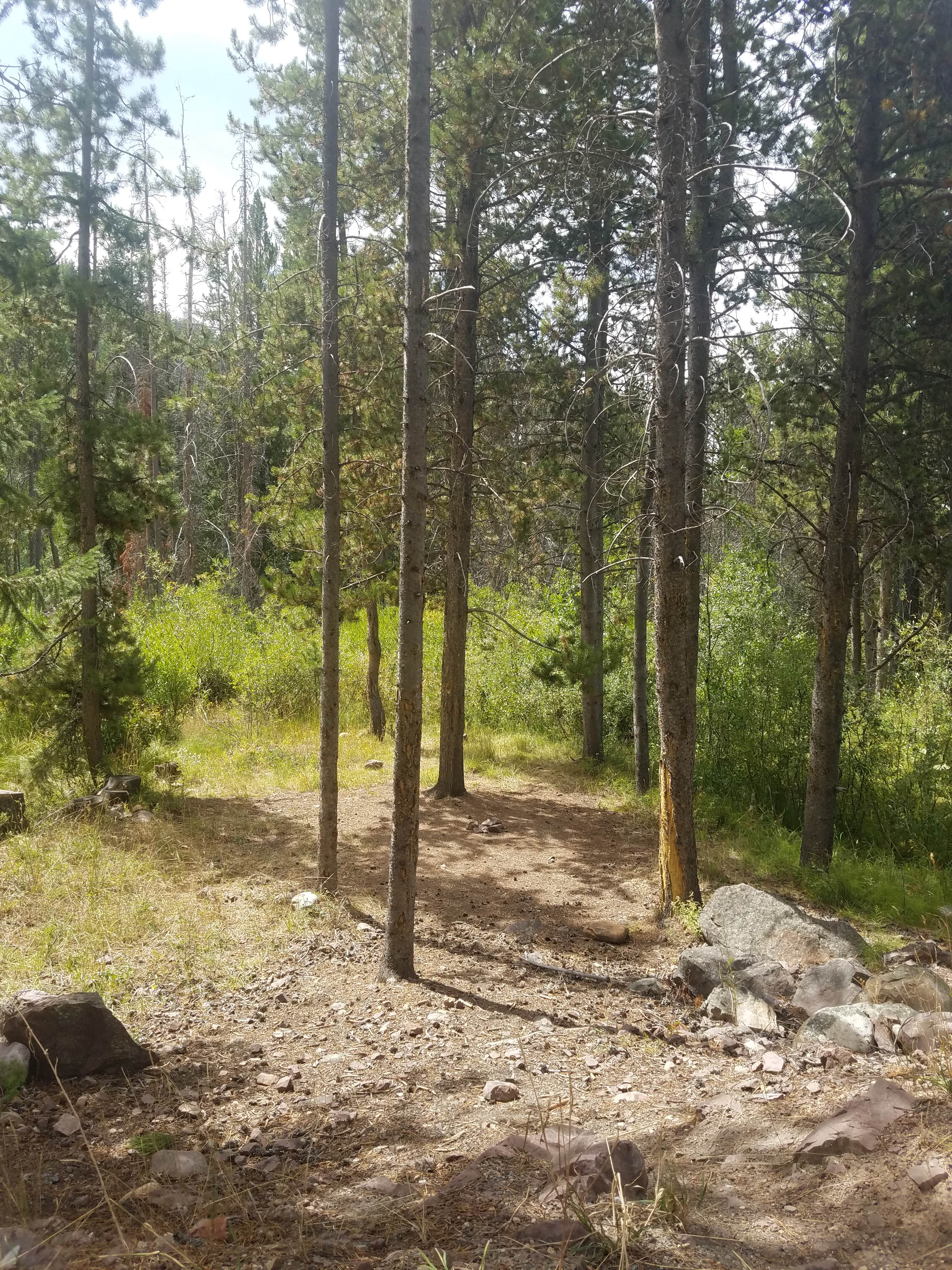 Camping near Wasatch National Forest Ledgefork Campground: Taylors Fork ATV Campground, Kamas, Utah