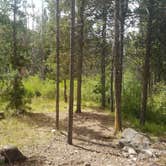 Review photo of Taylors Fork ATV Campground by Alan B., August 31, 2018