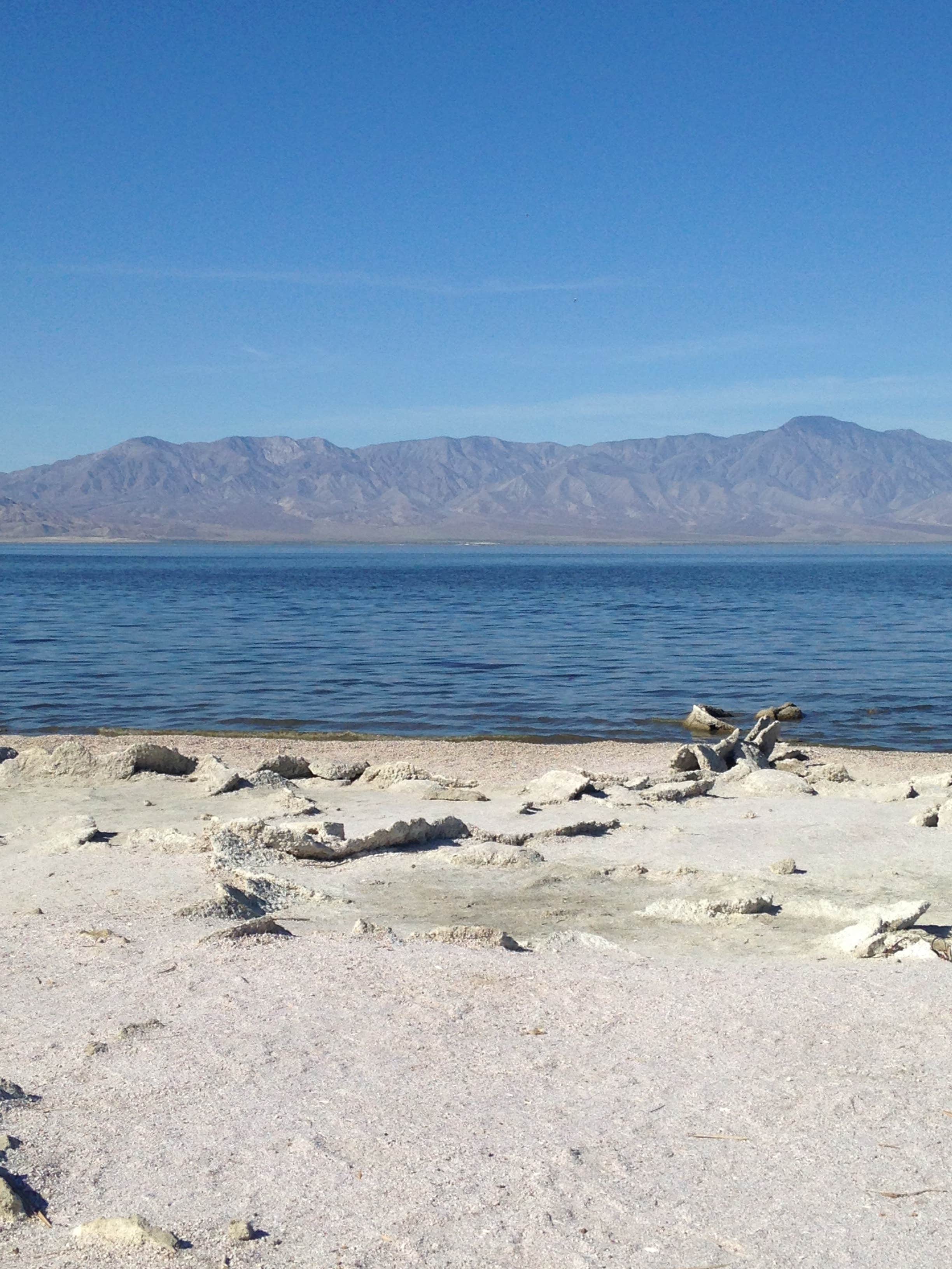Camper-submitted photo at Red Hill Marina Park near Calexico, CA