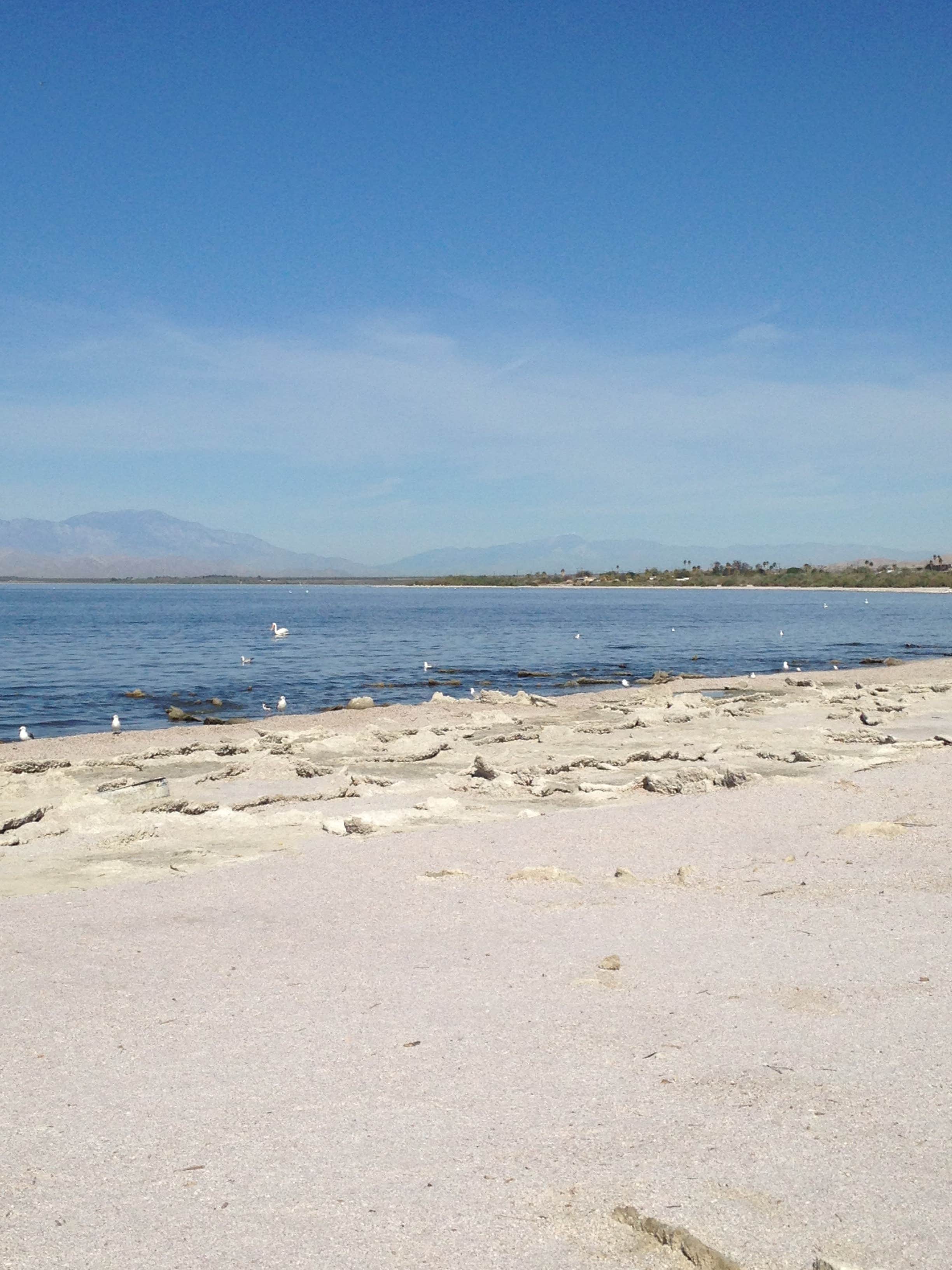 Camper-submitted photo at Red Hill Marina Park near Calexico, CA