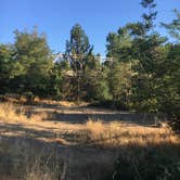 Review photo of Coloma Resort by Jill F., August 31, 2018