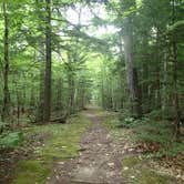 Review photo of Dry River — Crawford Notch State Park by Gary G., August 3, 2016
