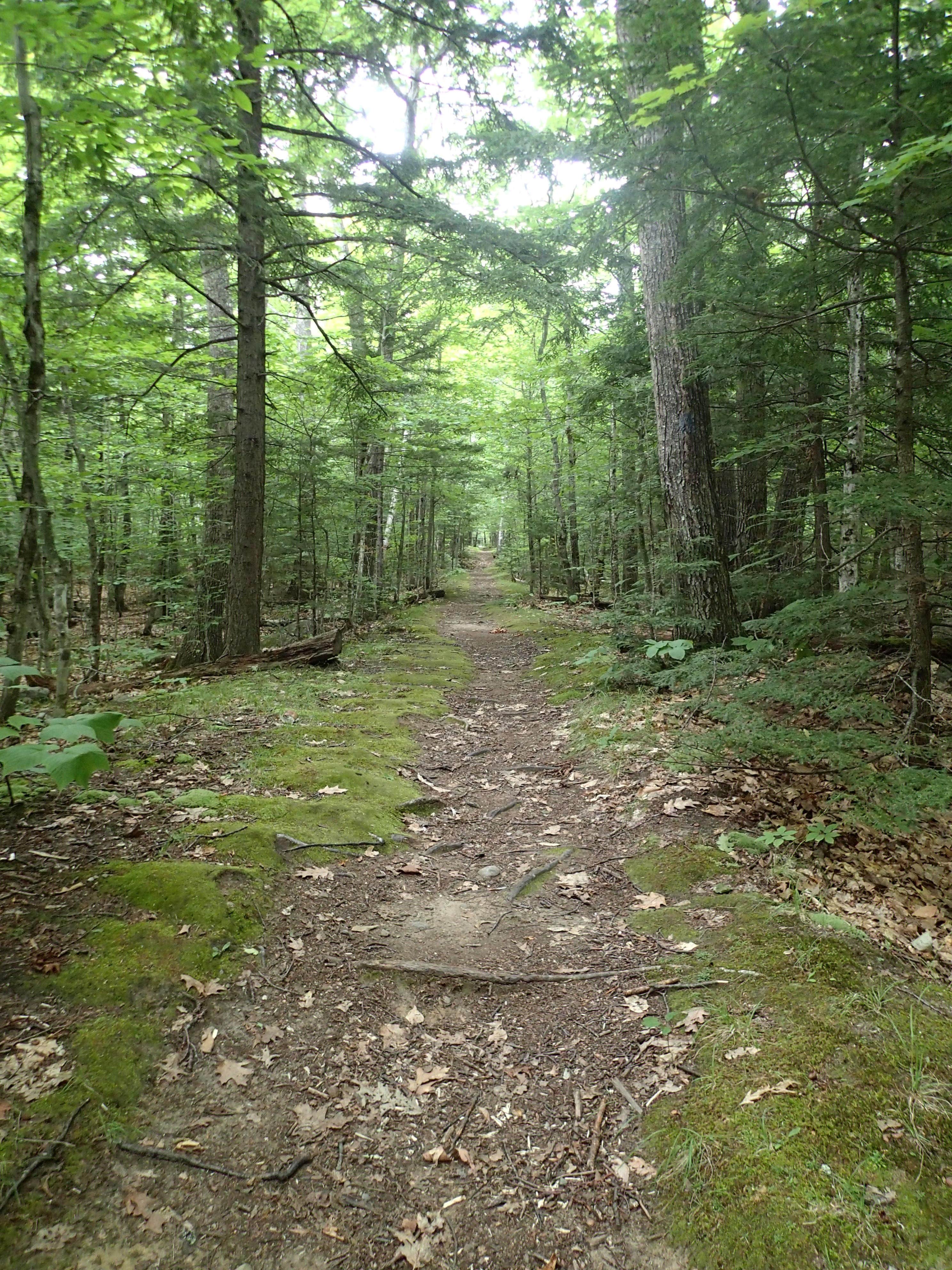 Camper submitted image from Dry River Campground — Crawford Notch State Park - 3